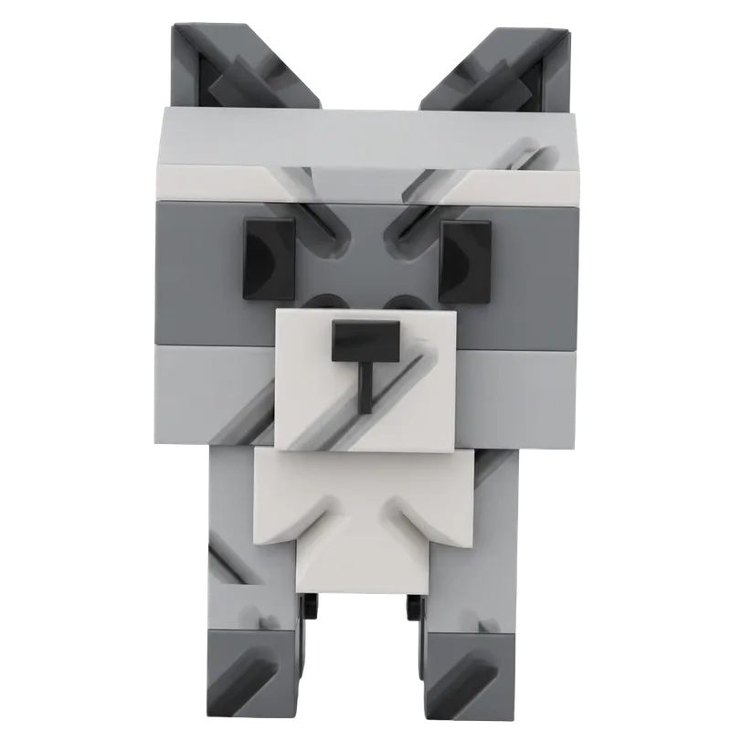 Raccoon
