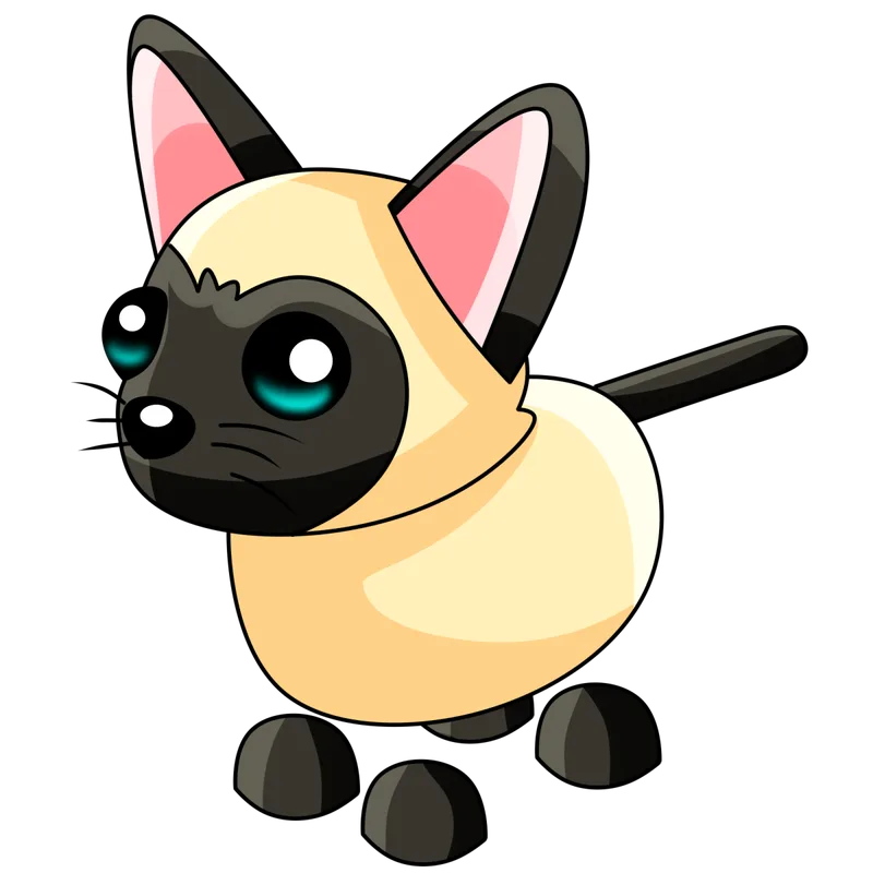 Siamese Cat