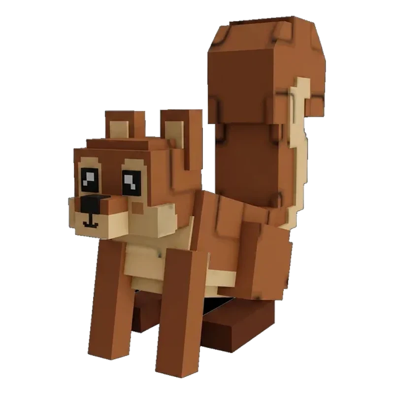 Squirrel